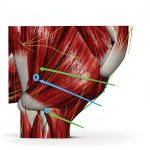 Acupuncture eBook English Edition Digital Health Guide-0