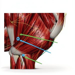 Acupuncture eBook English Edition Digital Health Guide-0