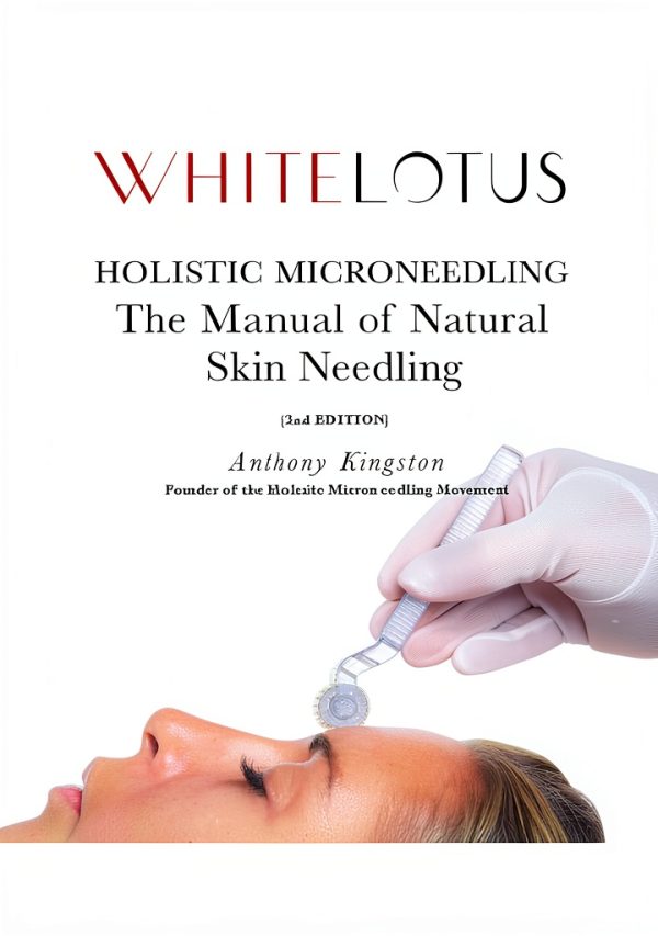 Acupuncture Skin Ailments eBook Anthony Kingston English-0