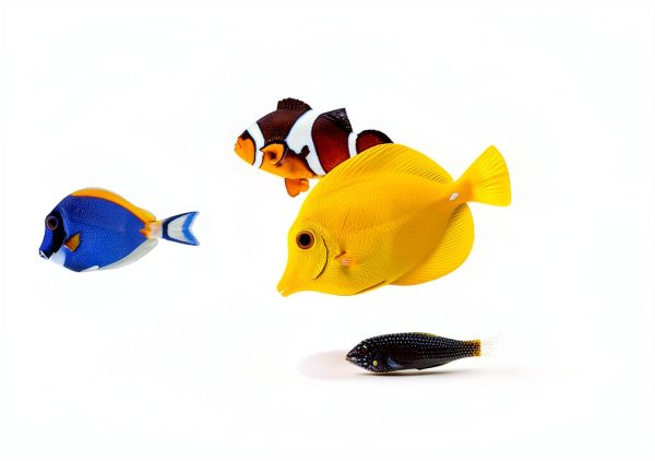 Brightwell Aquatics MicroBacter7 Complete Bioculture Water-5