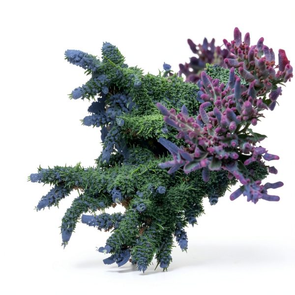 Brightwell Aquatics MicroBacter7 Complete Bioculture Water-6