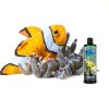 Brightwell Aquatics MicroBacter7 Complete Bioculture Water-2
