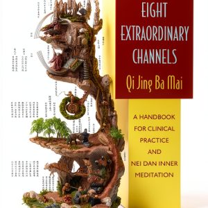 Acupuncture eBook Singing Dragon Illustrated English Edition-0