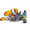 Brightwell Aquatics MicroBacter7 Aquarium Bacteria Water-2