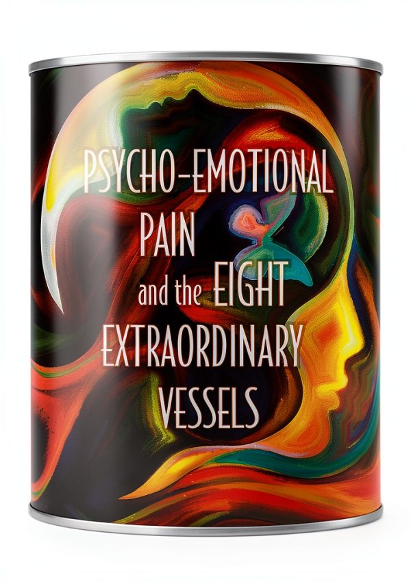 Acupuncture Illustrated English Edition Kindle-0